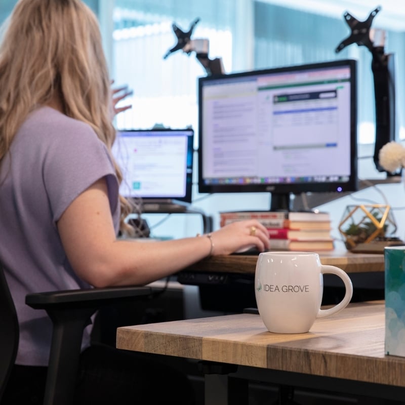 Idea Grove employee at computer