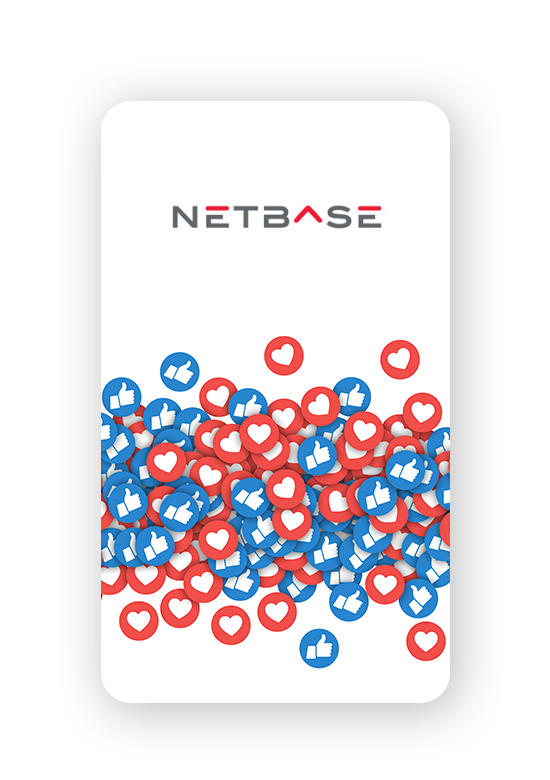IG-Client-Story-NetBase-1