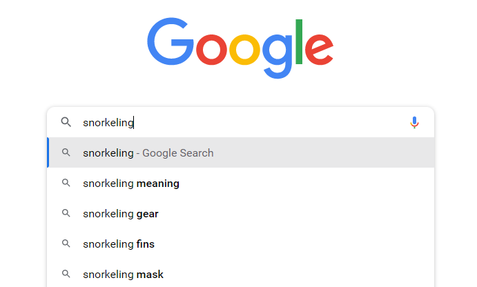 Screenshot of a Google search on snorkeling